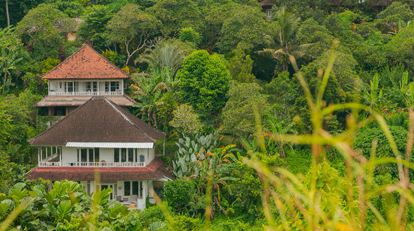 Specialized Real Estate Agency Uluwatu